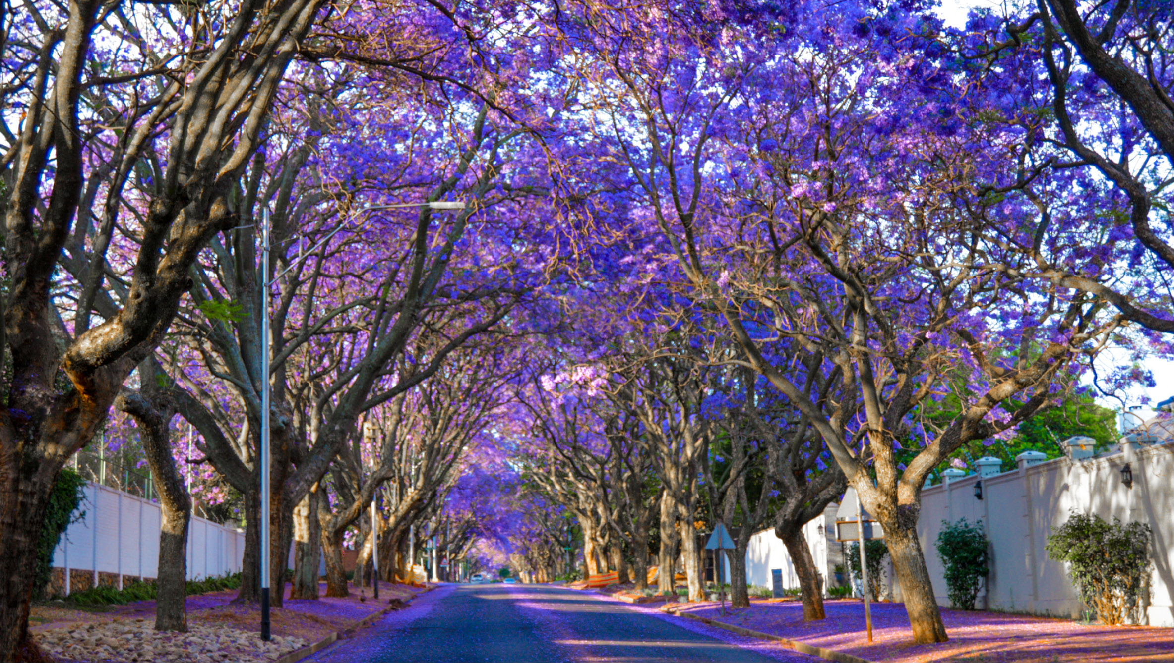 Pretoria
